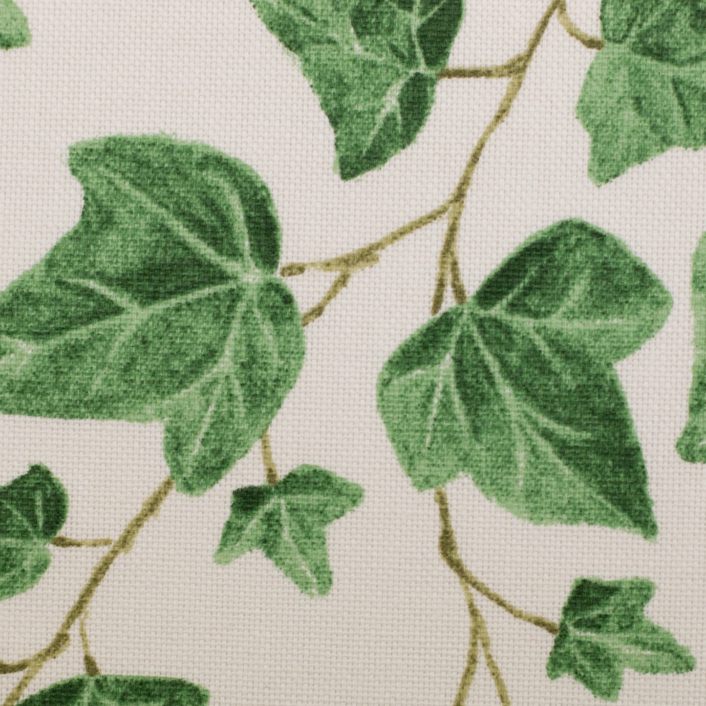 Canvas - Efeu - 10 cm