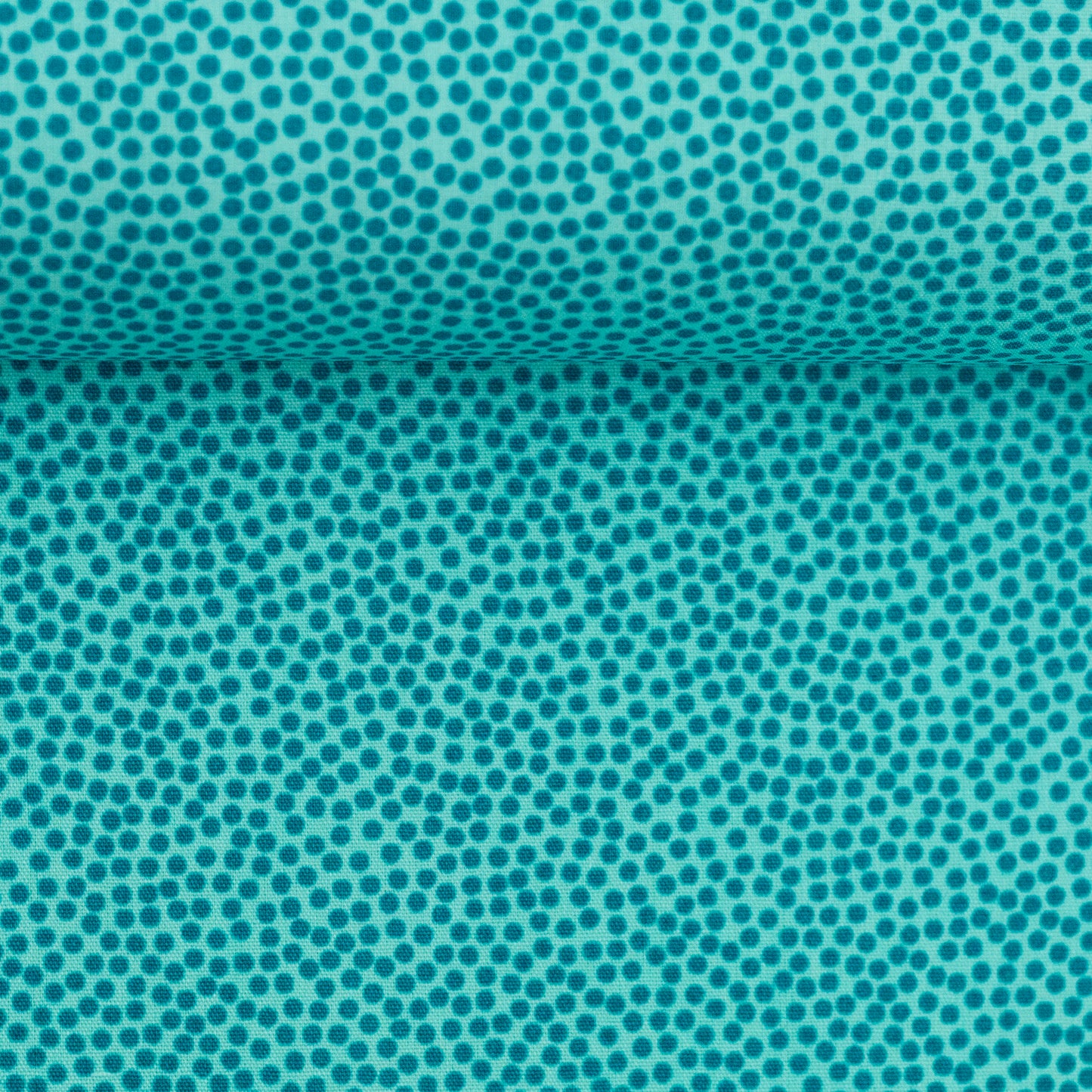 dotty petrol/mint 100263
