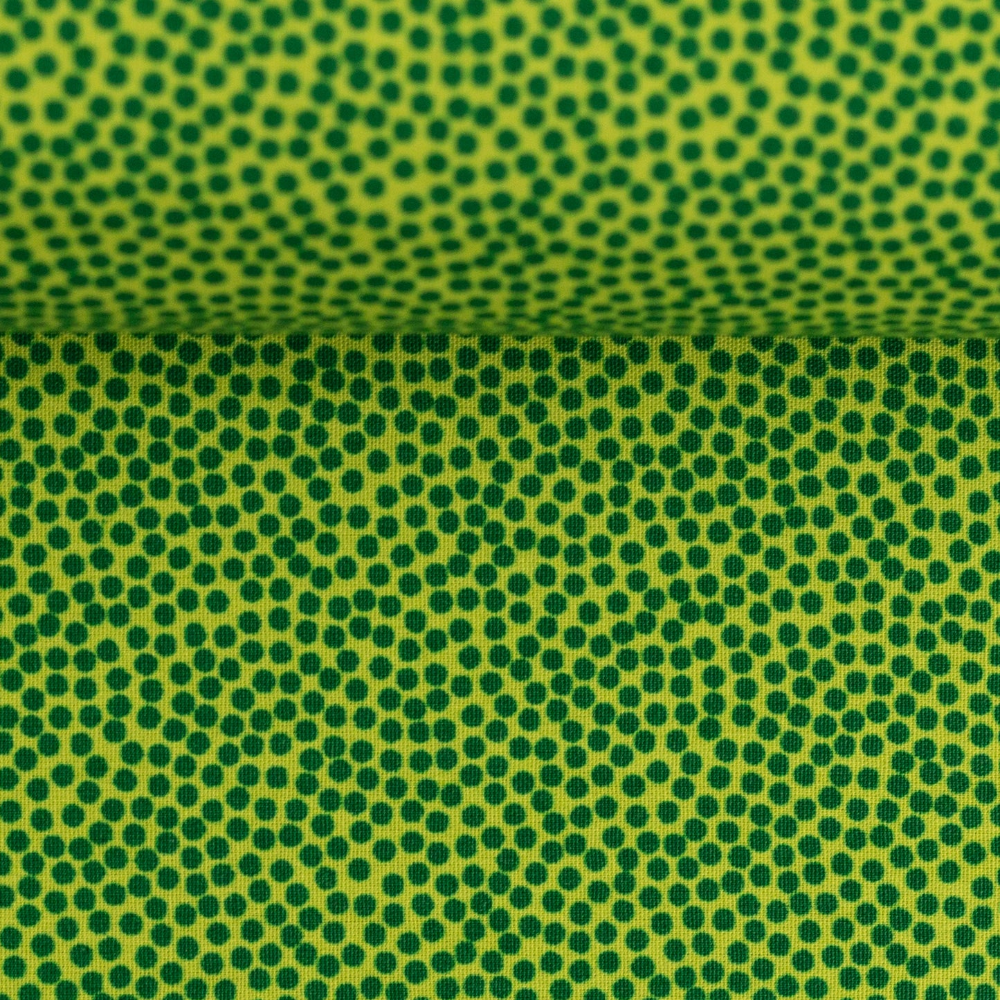 dotty dunkel-/kiwigruen 100601