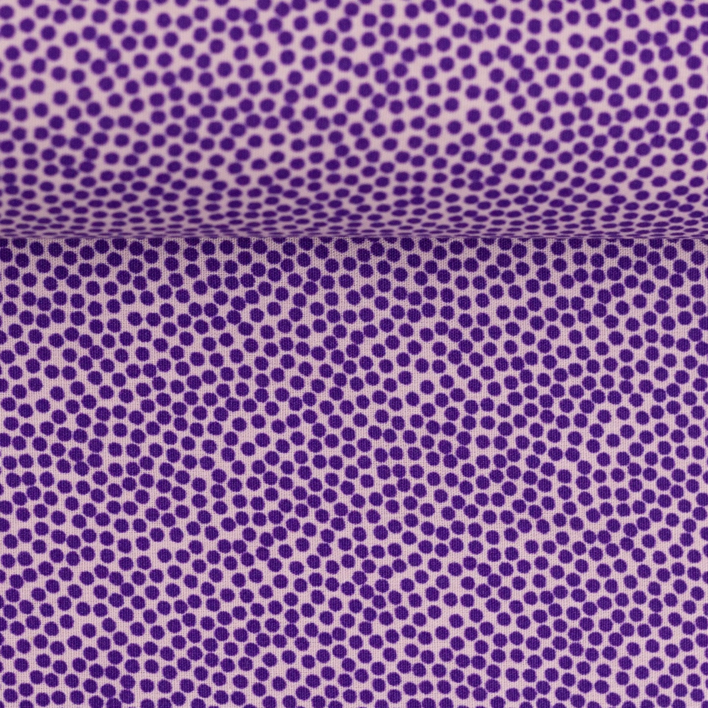 dotty violett/flieder 100641