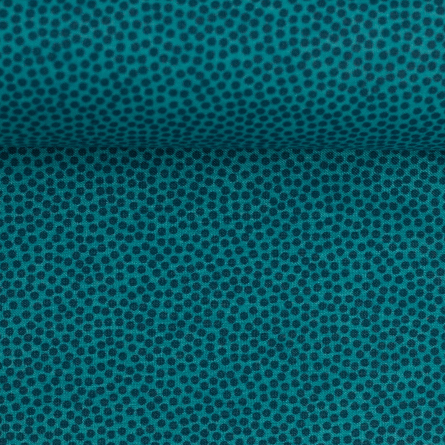 dotty petrol 100747