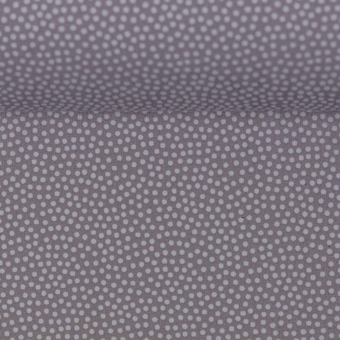 dotty grau 100182