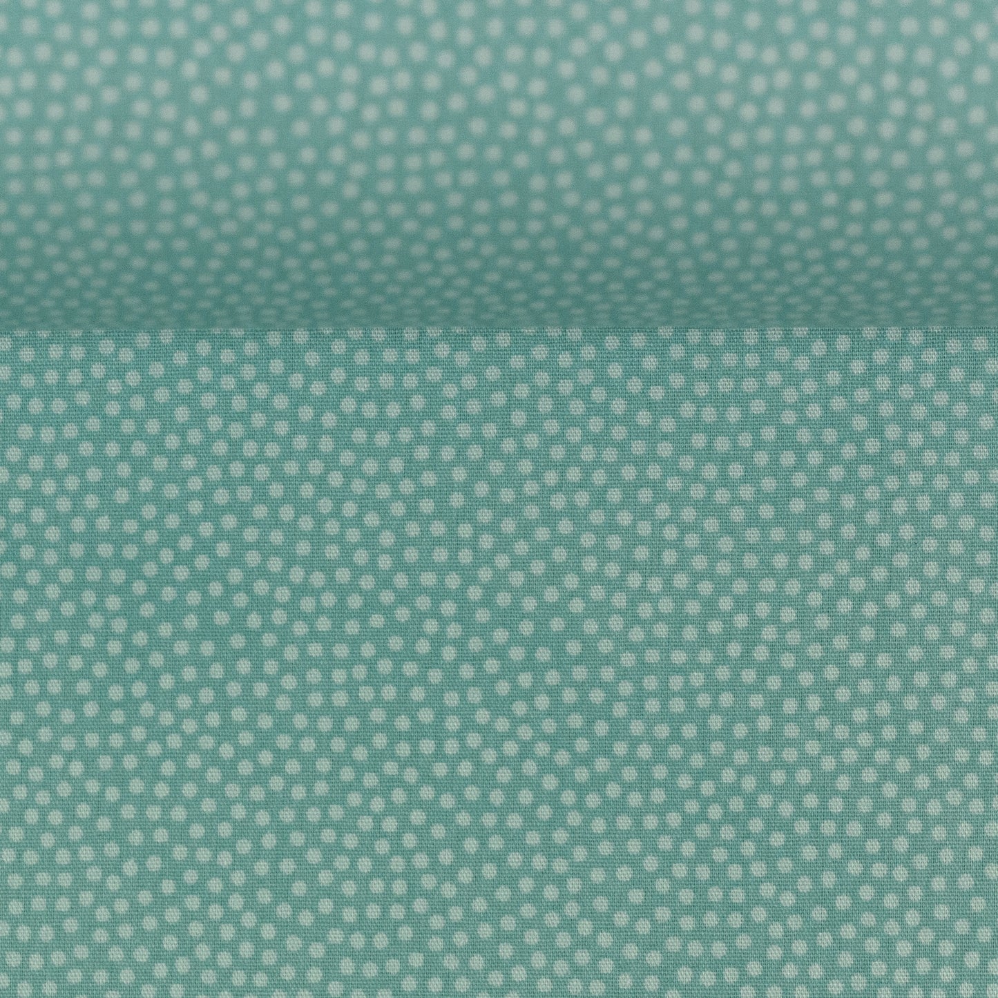 dotty mint 100262