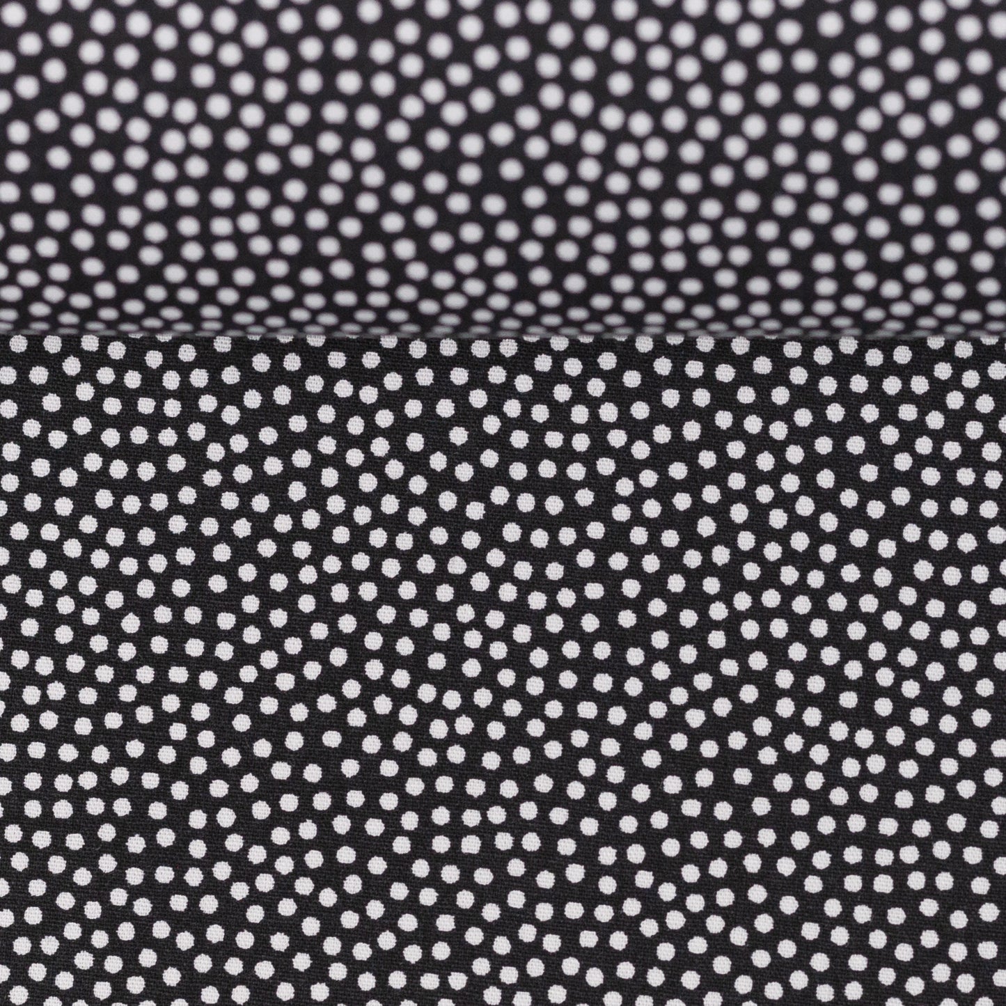 dotty weiss/schwarz 100299