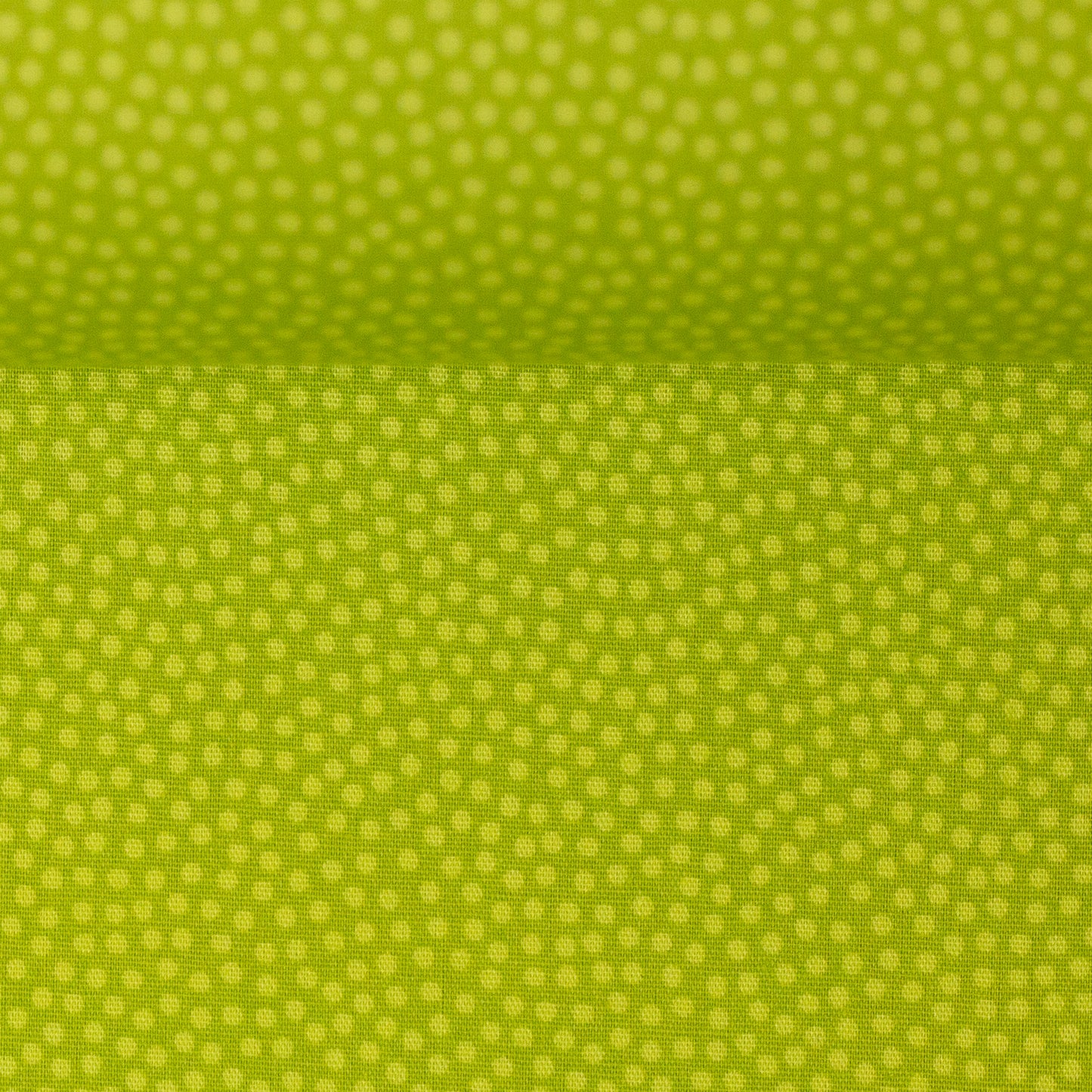 dotty kiwigruen 100602