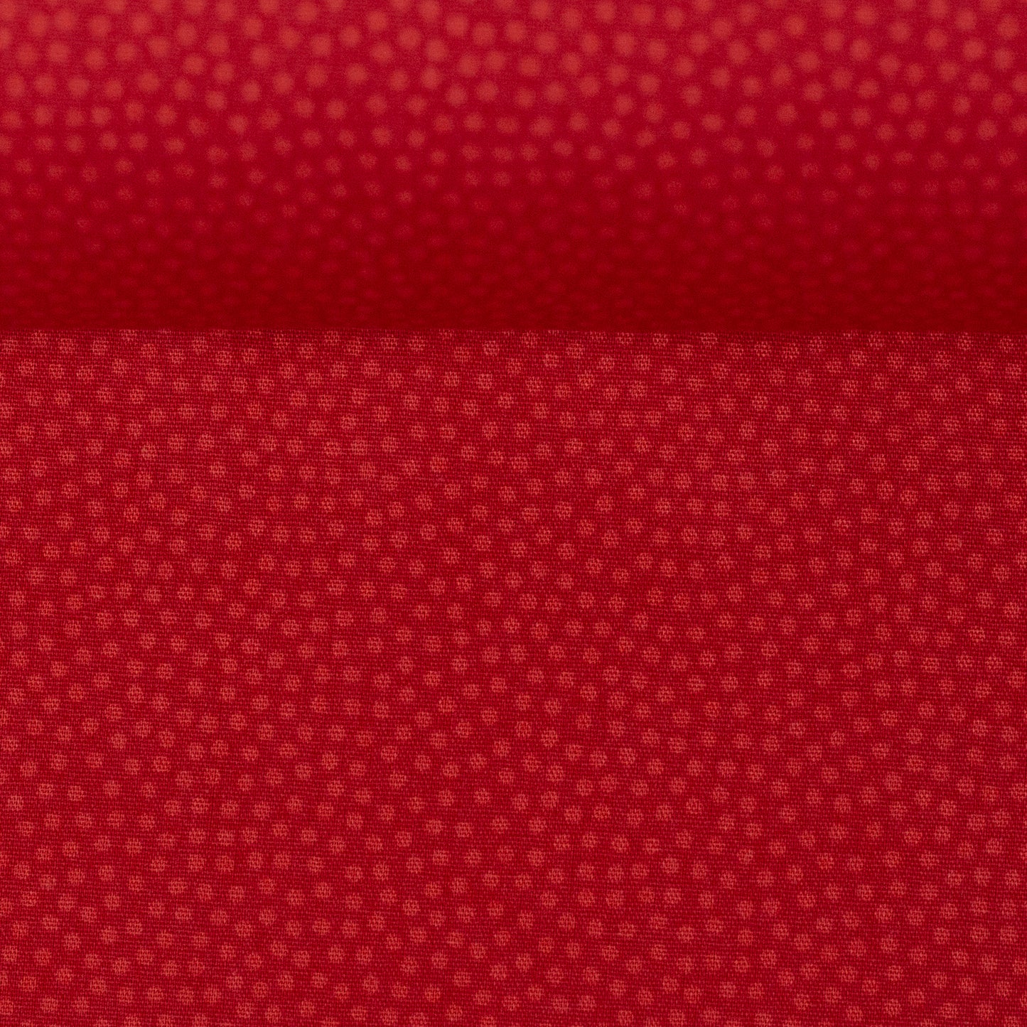 dotty rot 100638
