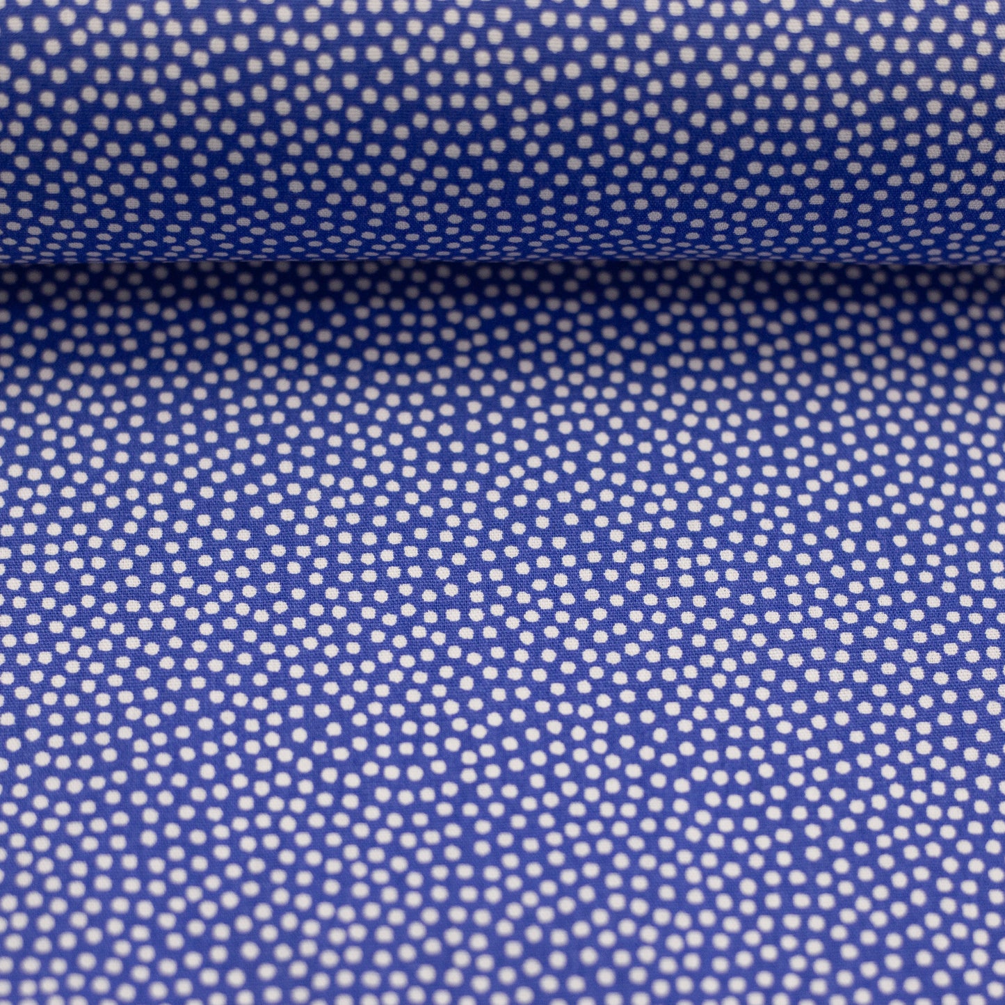dotty weiss/royalblau 011254