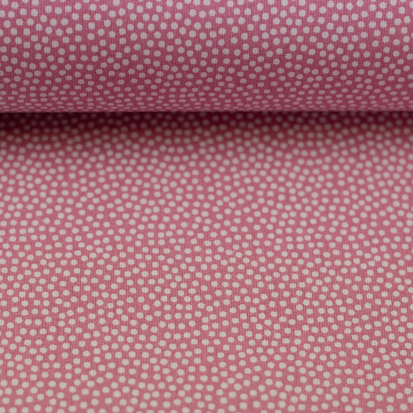 dotty weiss/altrosa 011435
