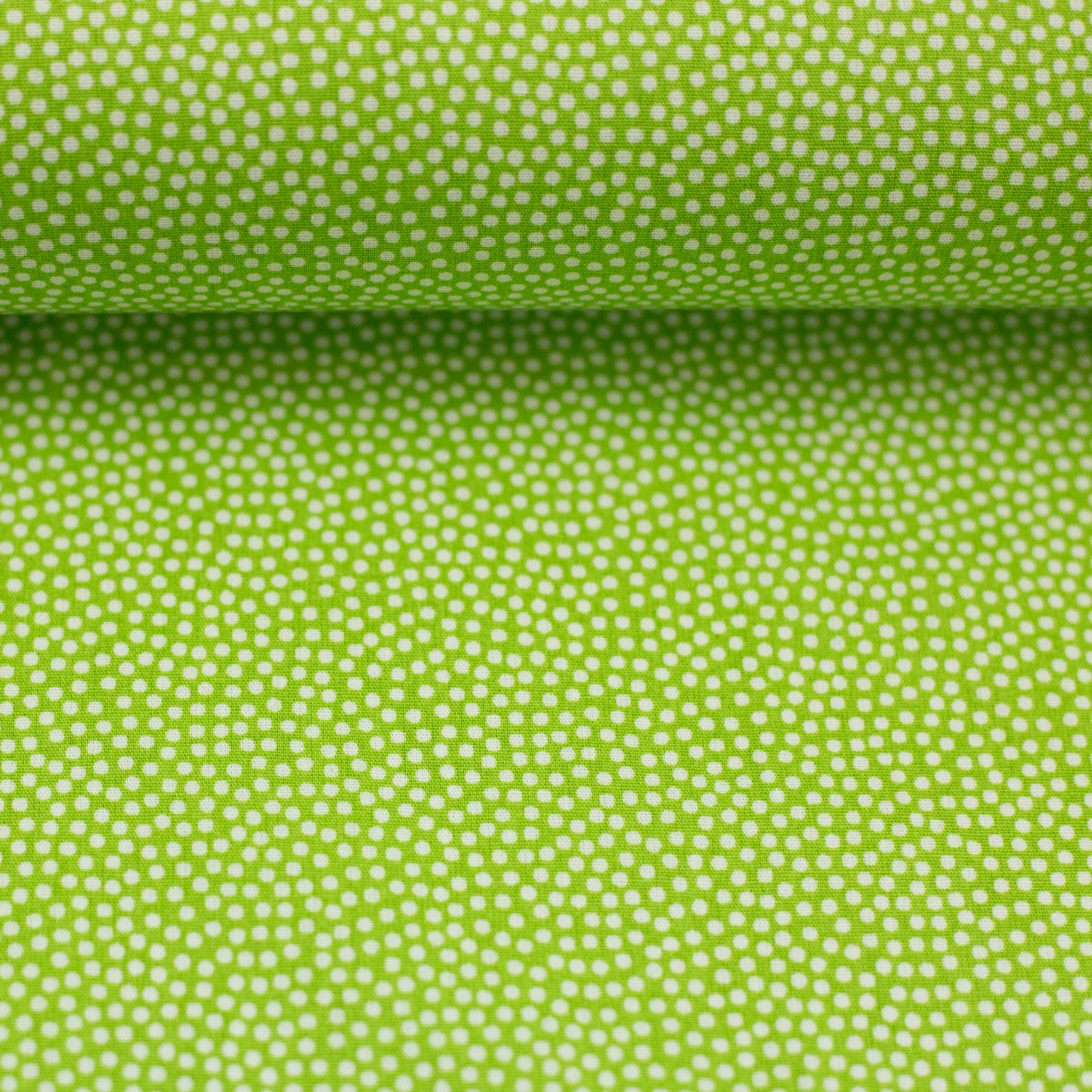dotty weiss/kiwi 011602