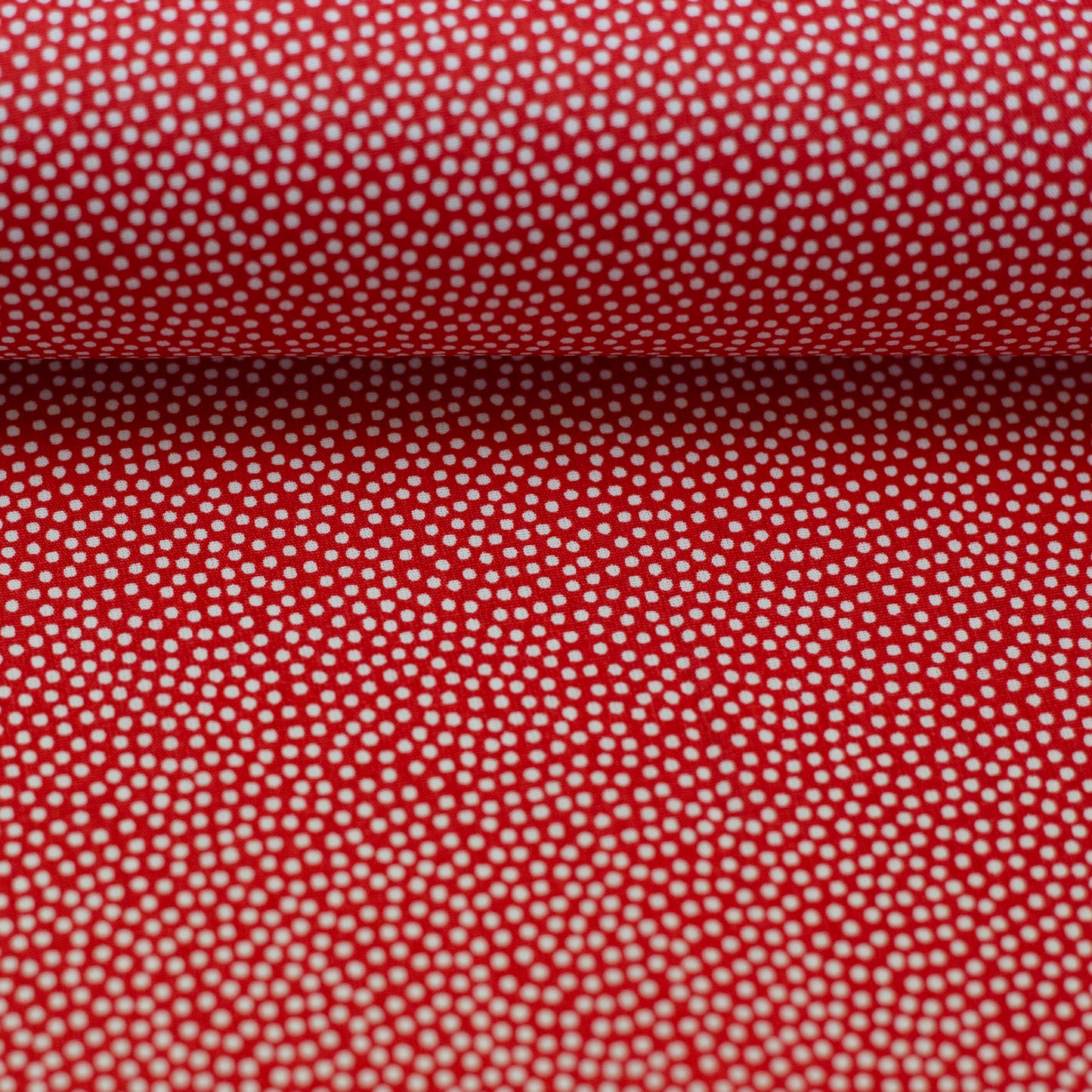 dotty weiss/rot 011637