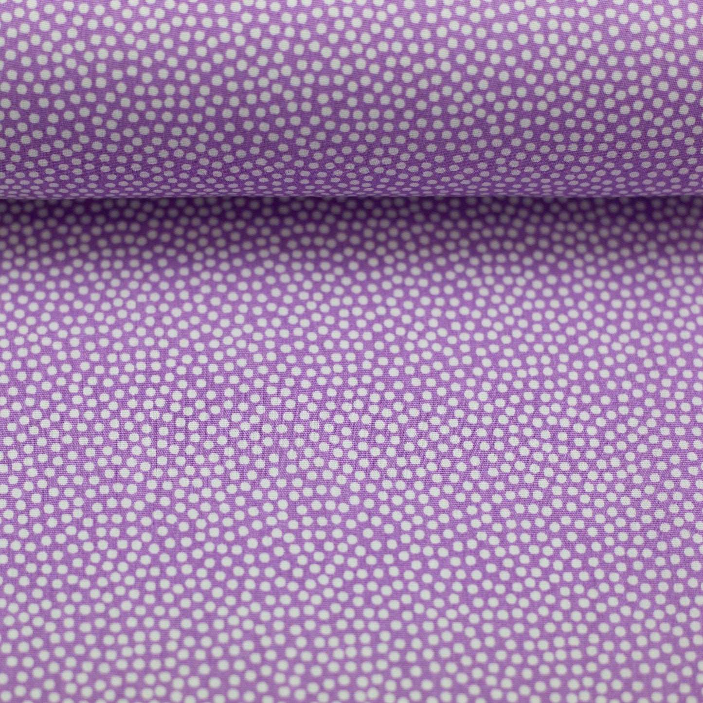 dotty weiss/lila 011644