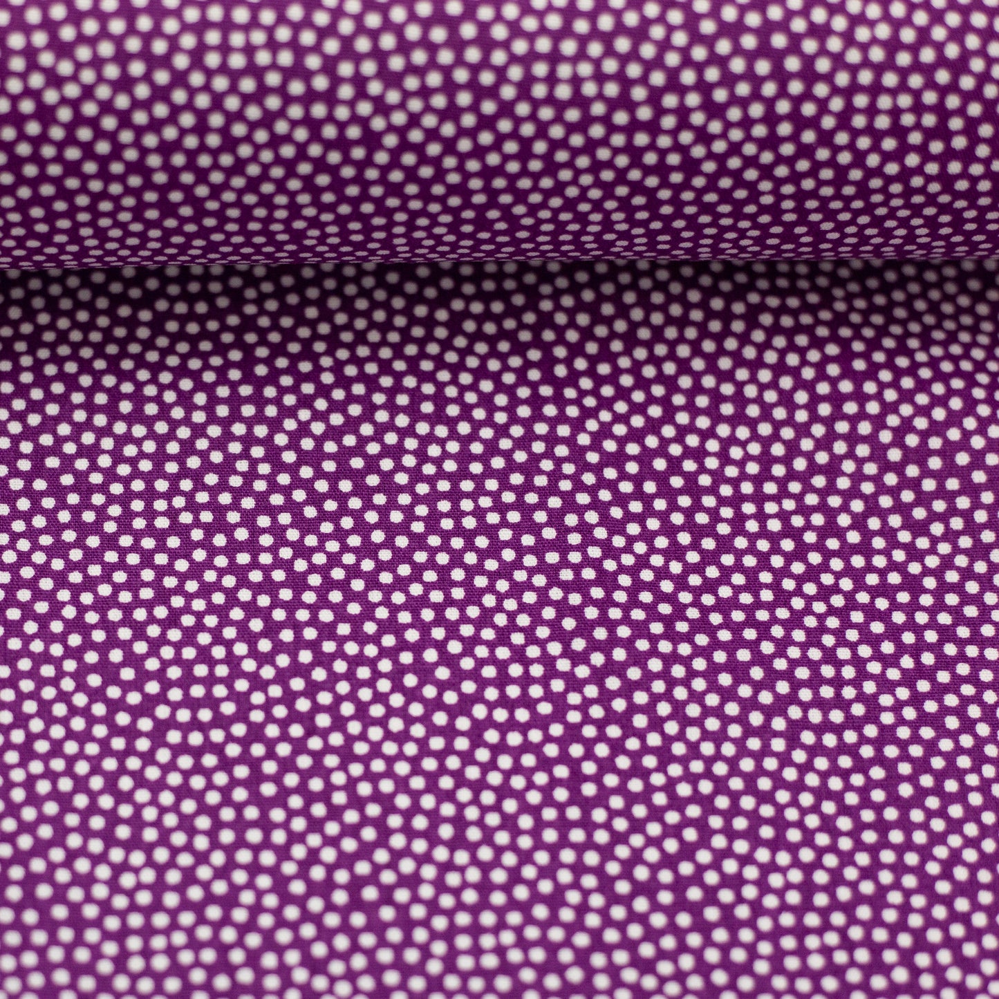 dotty weiss/violett 011647