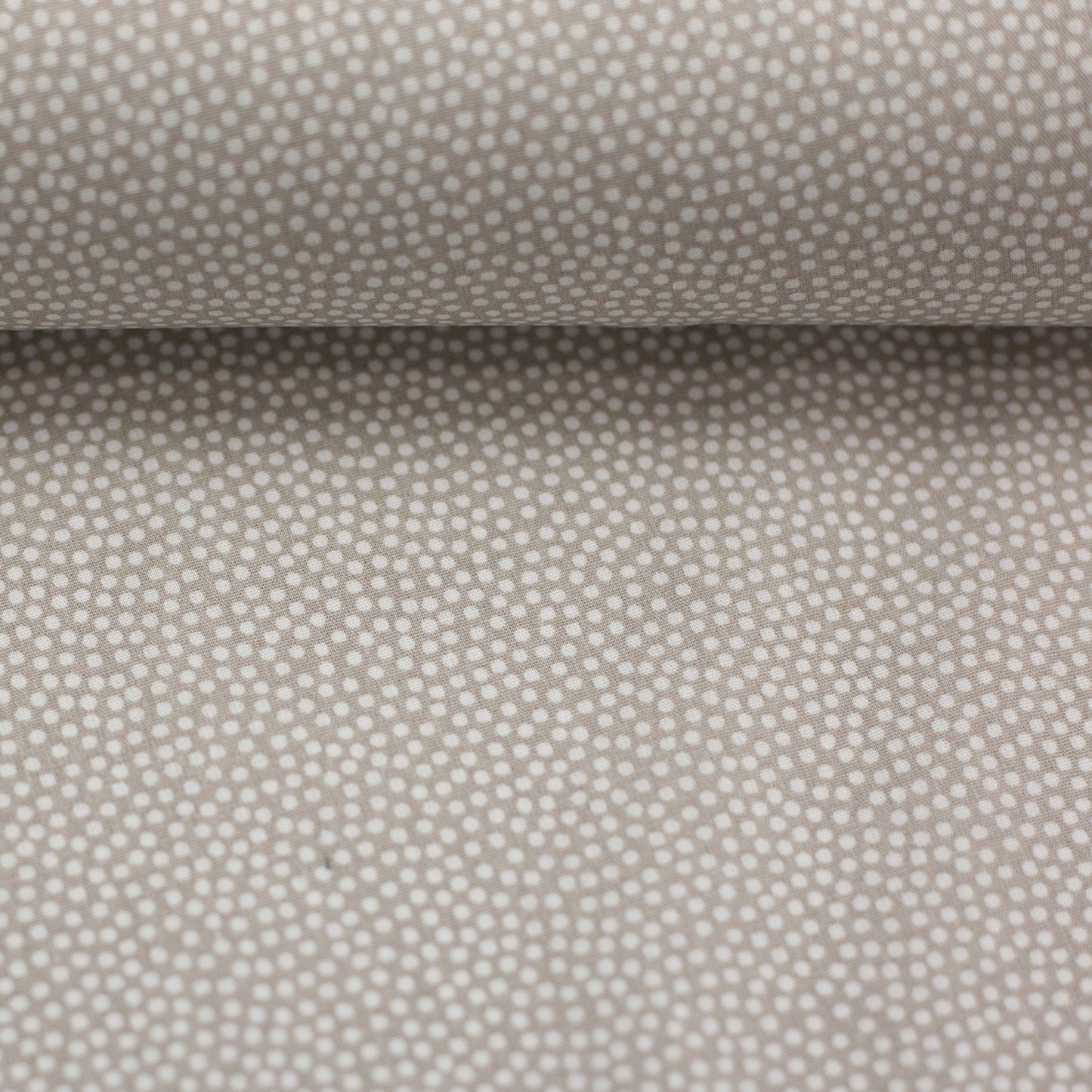 dotty weiss/camel 011671