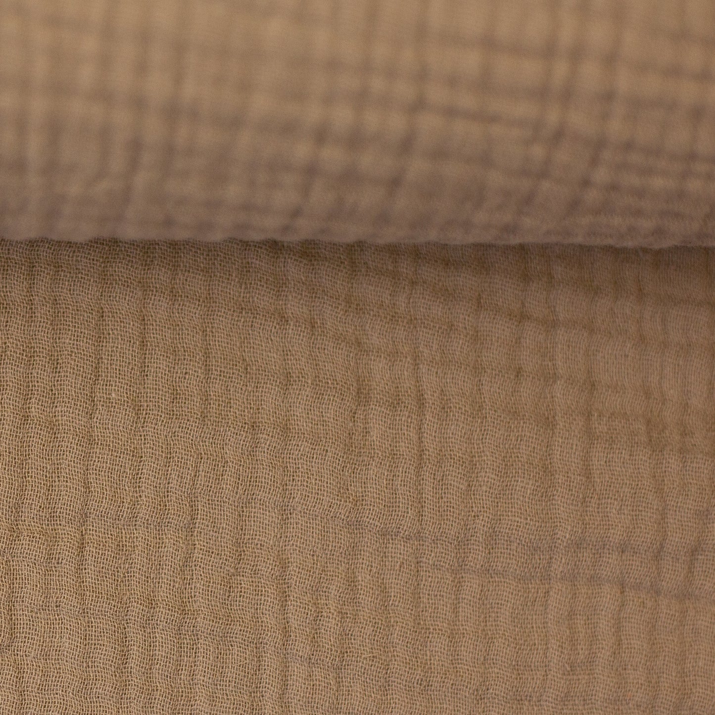 jenke camel 000673