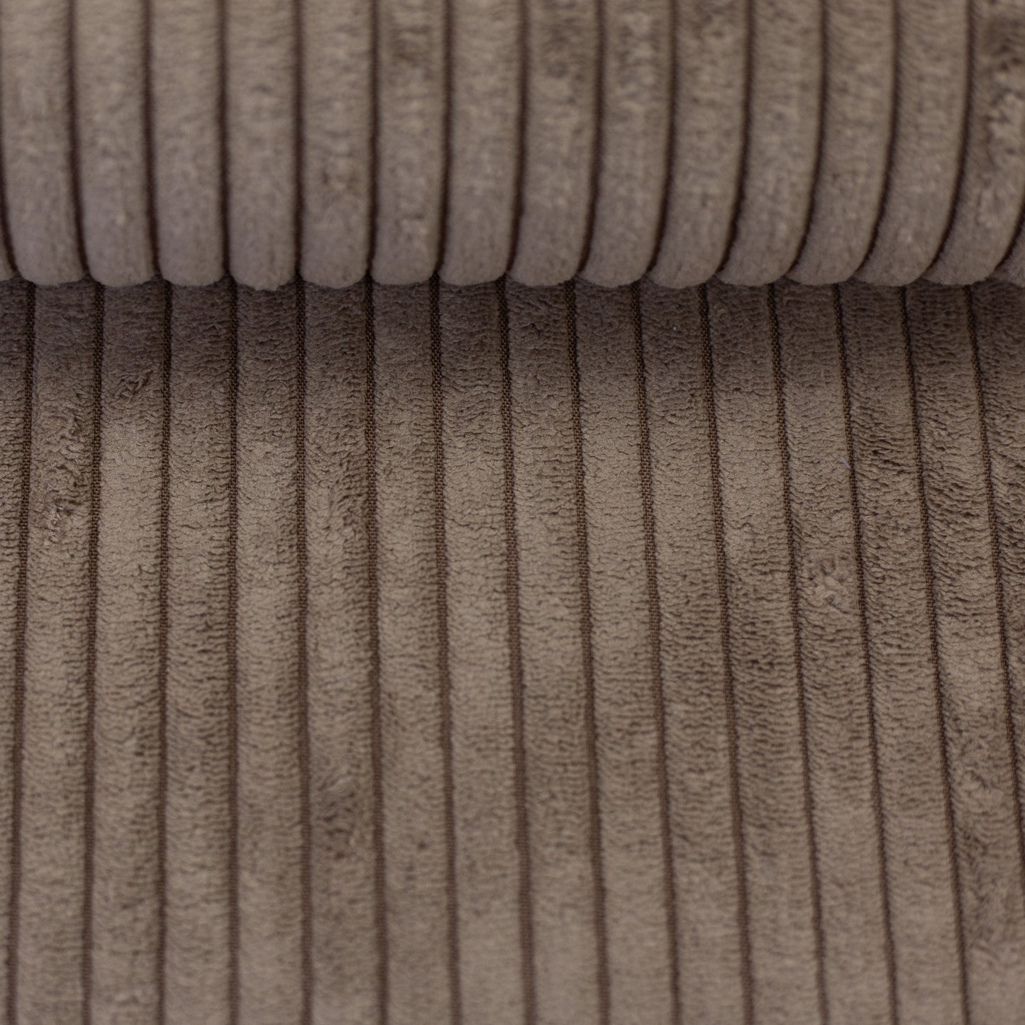 wanja beige 000173