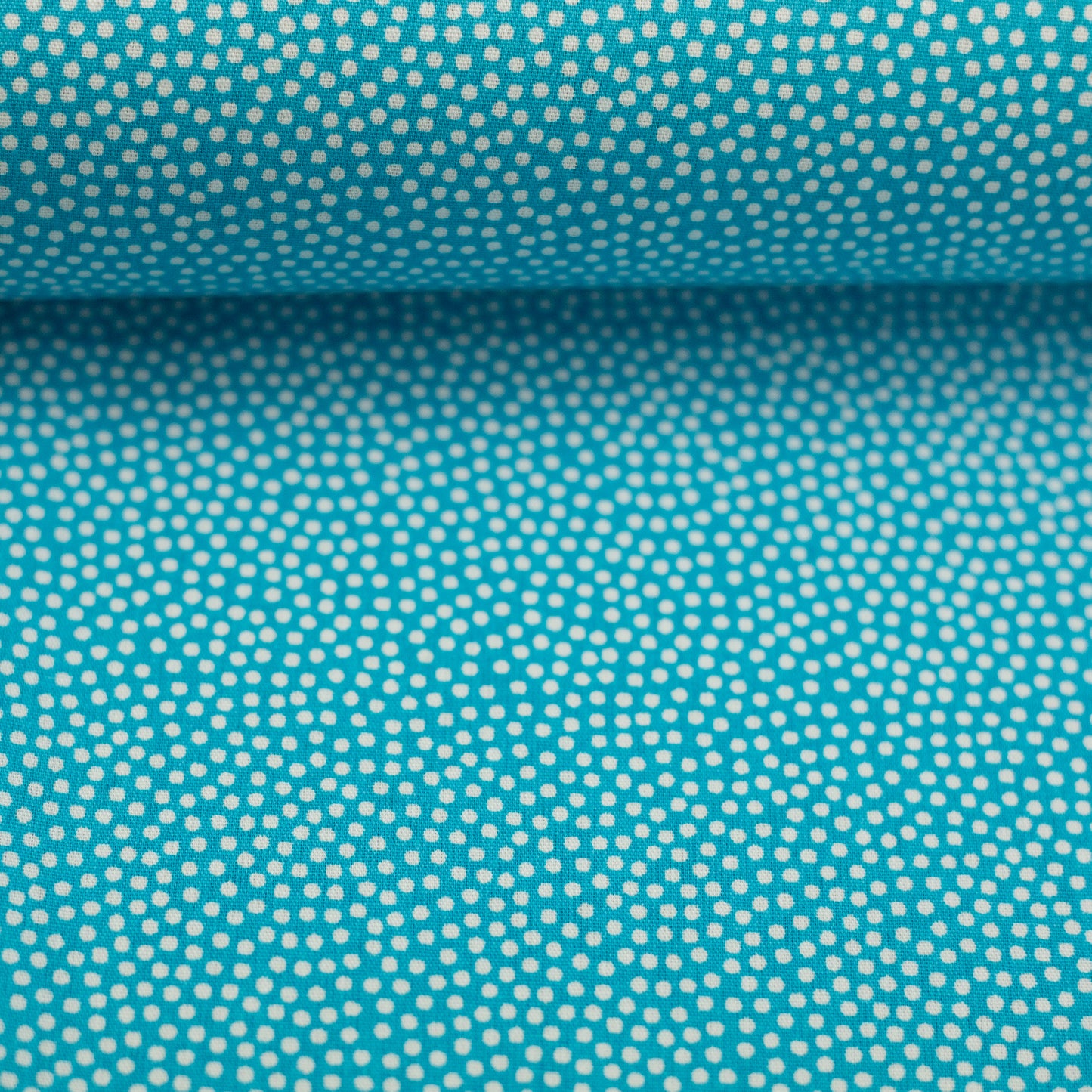 dotty weiss/helltuerkis 011841