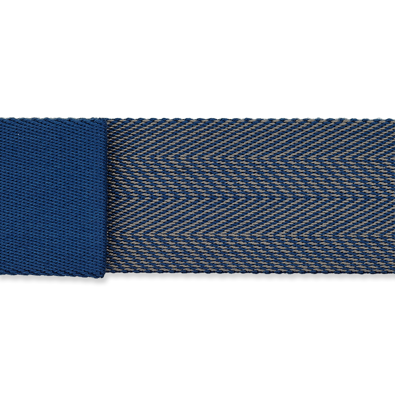 Riccio Blau 6