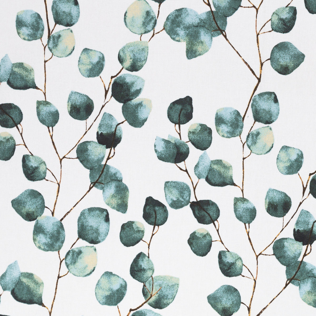 Canvas - Eukalyptus - 10 cm