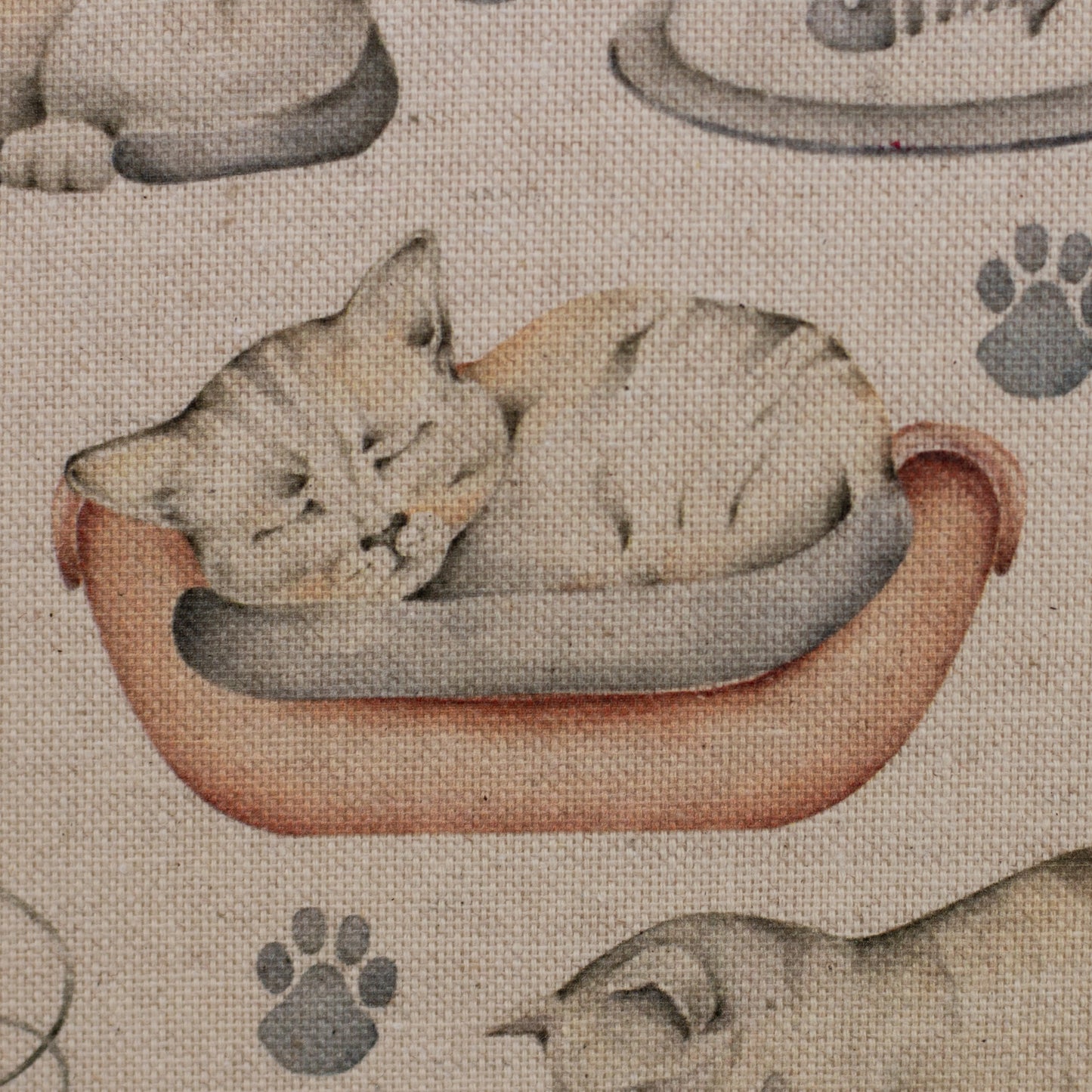 Canvas - Vigo Katzen - 10 cm