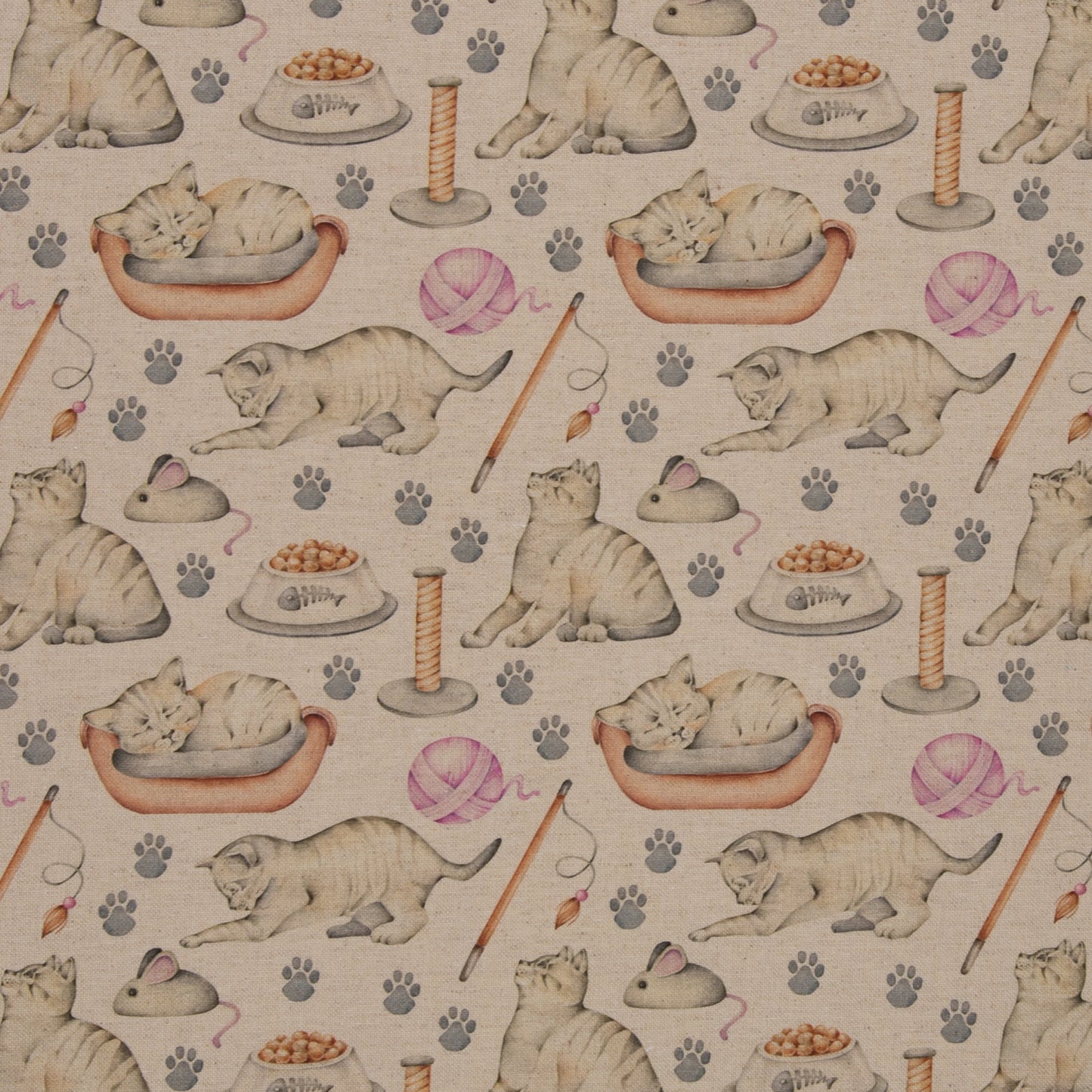 Canvas - Vigo Katzen - 10 cm