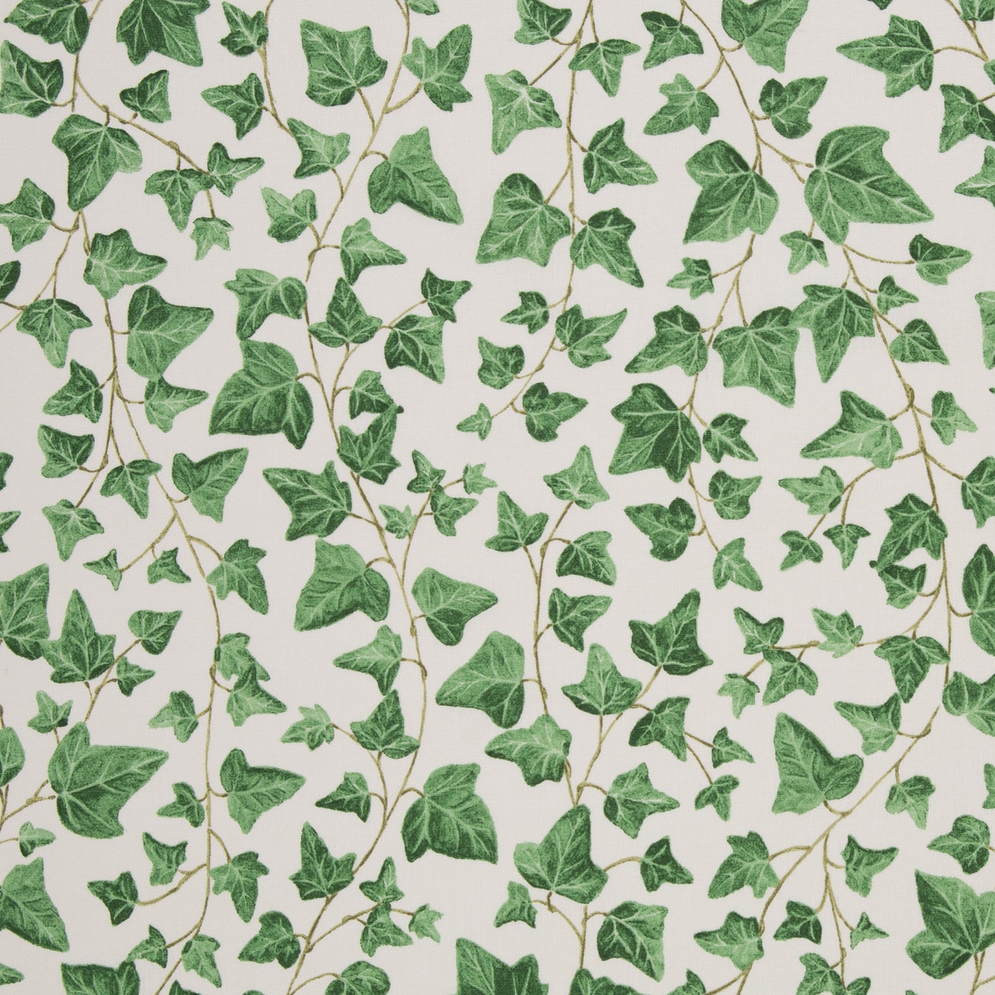 Canvas - Efeu - 10 cm