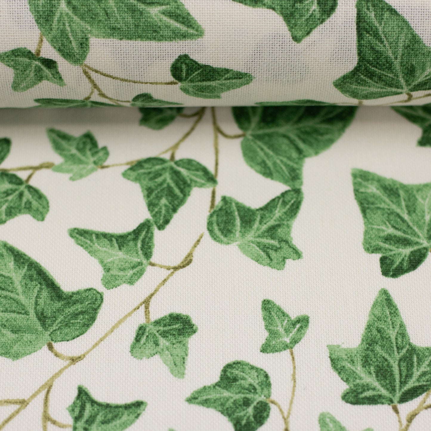 Canvas - Efeu - 10 cm