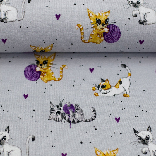 Jersey - Cats - 10 cm