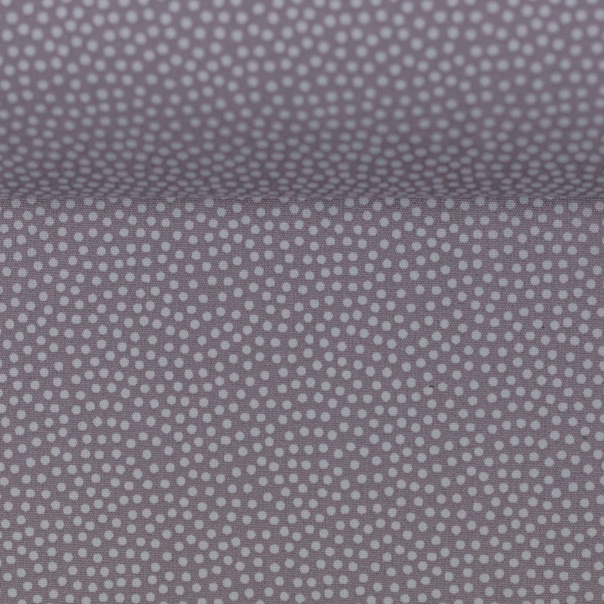 dotty grau 100182
