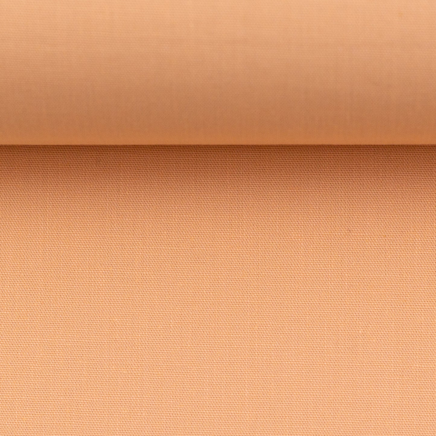 heide apricot 000421