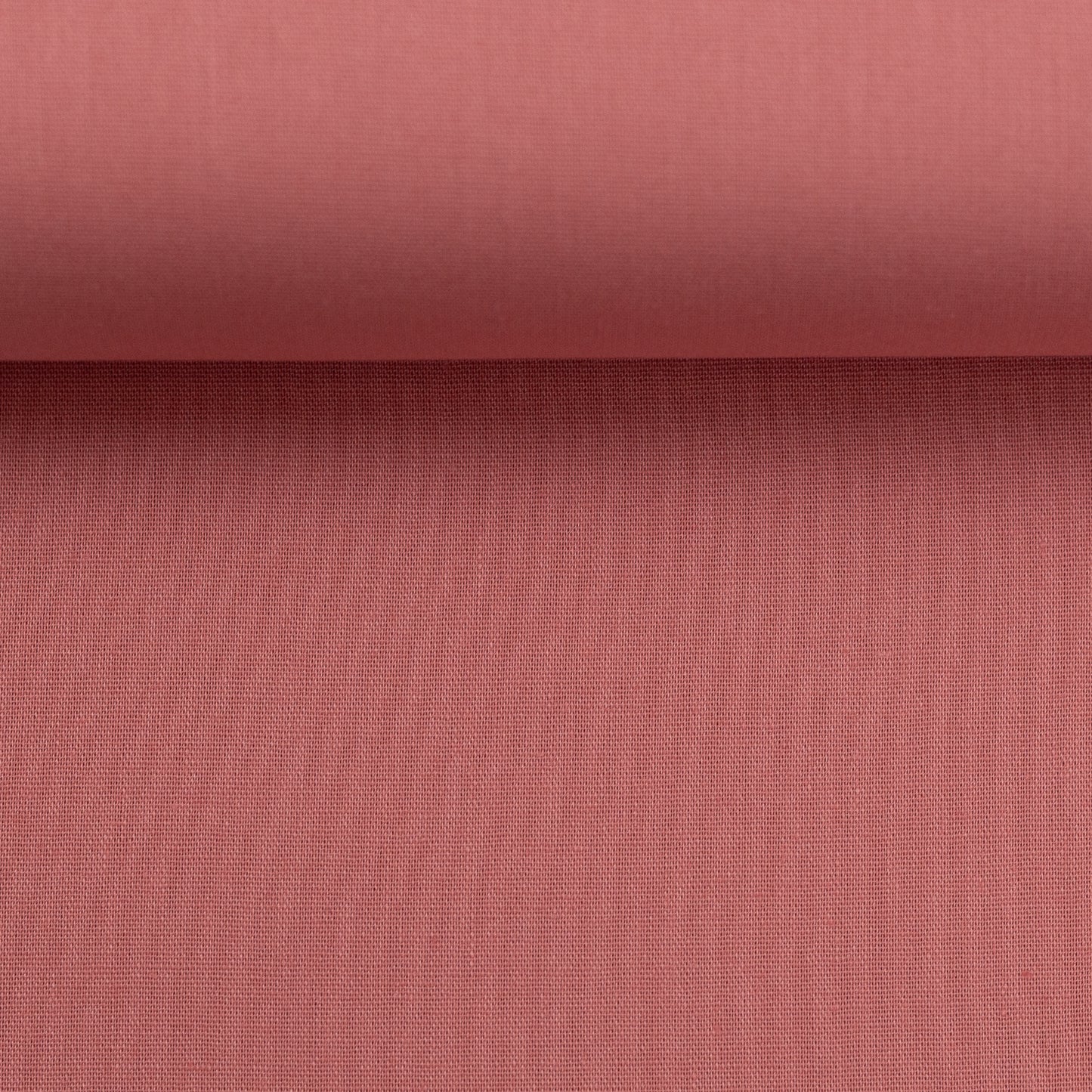 heide rosa 000435