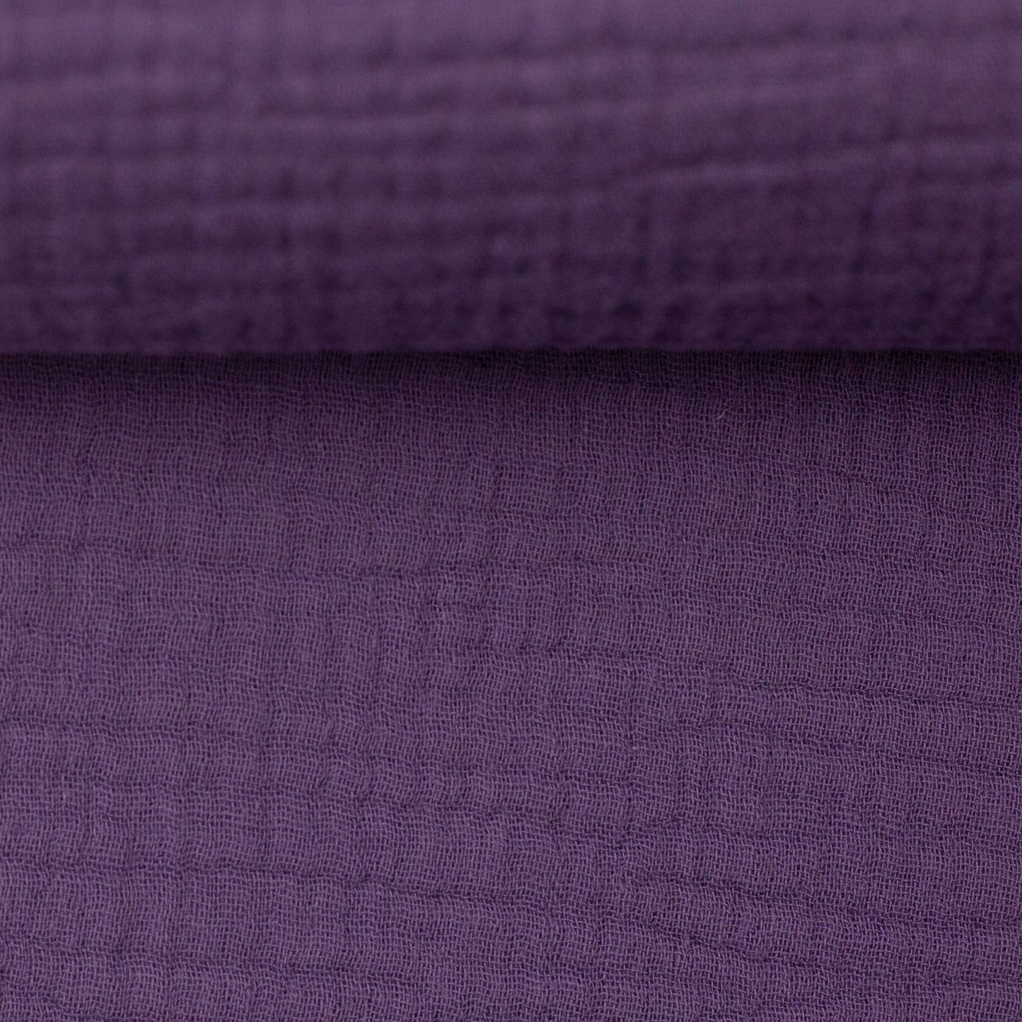jenke lila 000645
