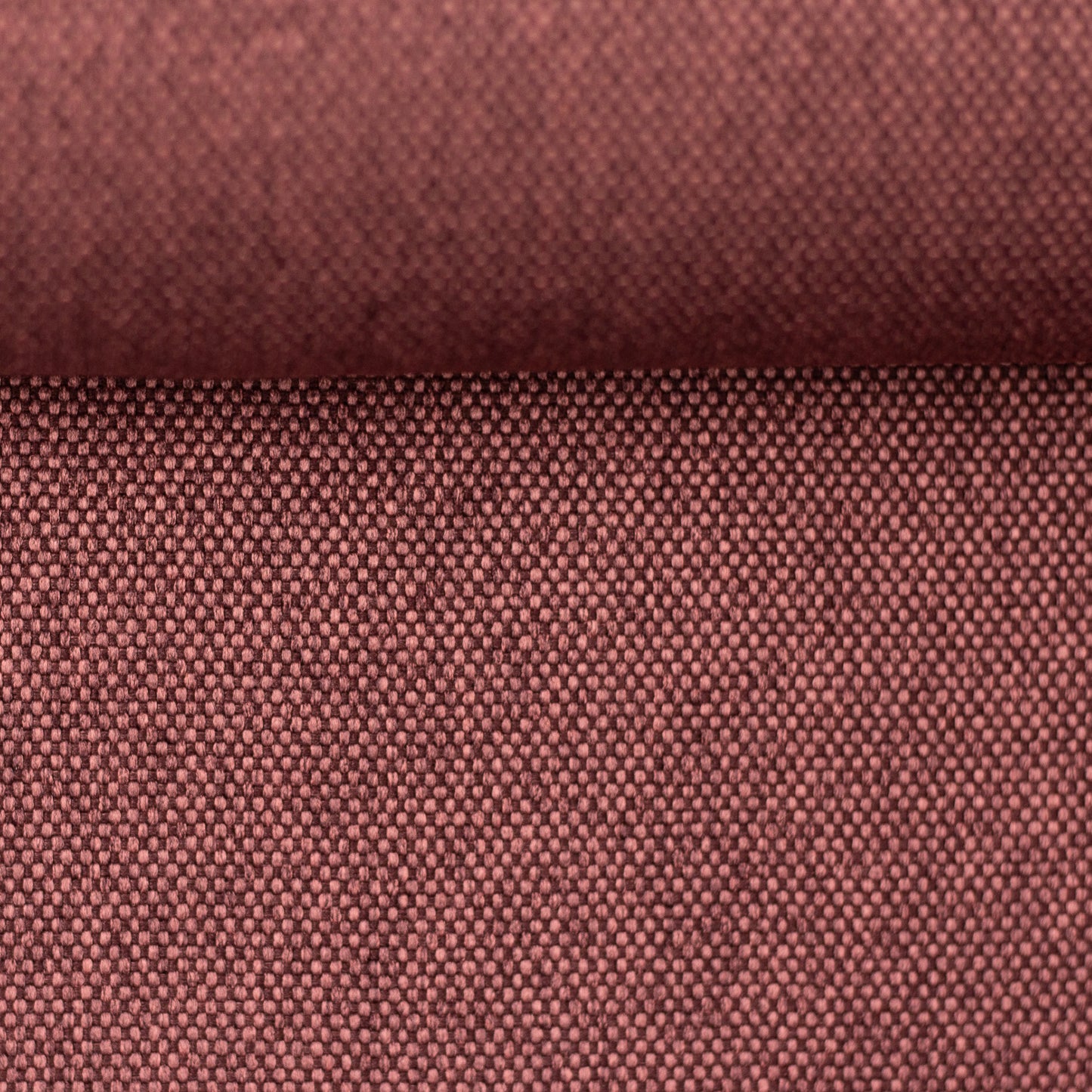 rom brombeere 001639