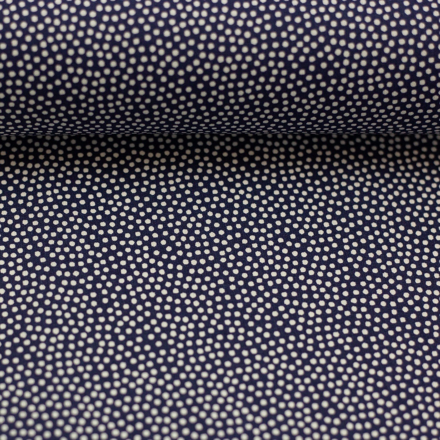 dotty weiss/dunkelblau 011597