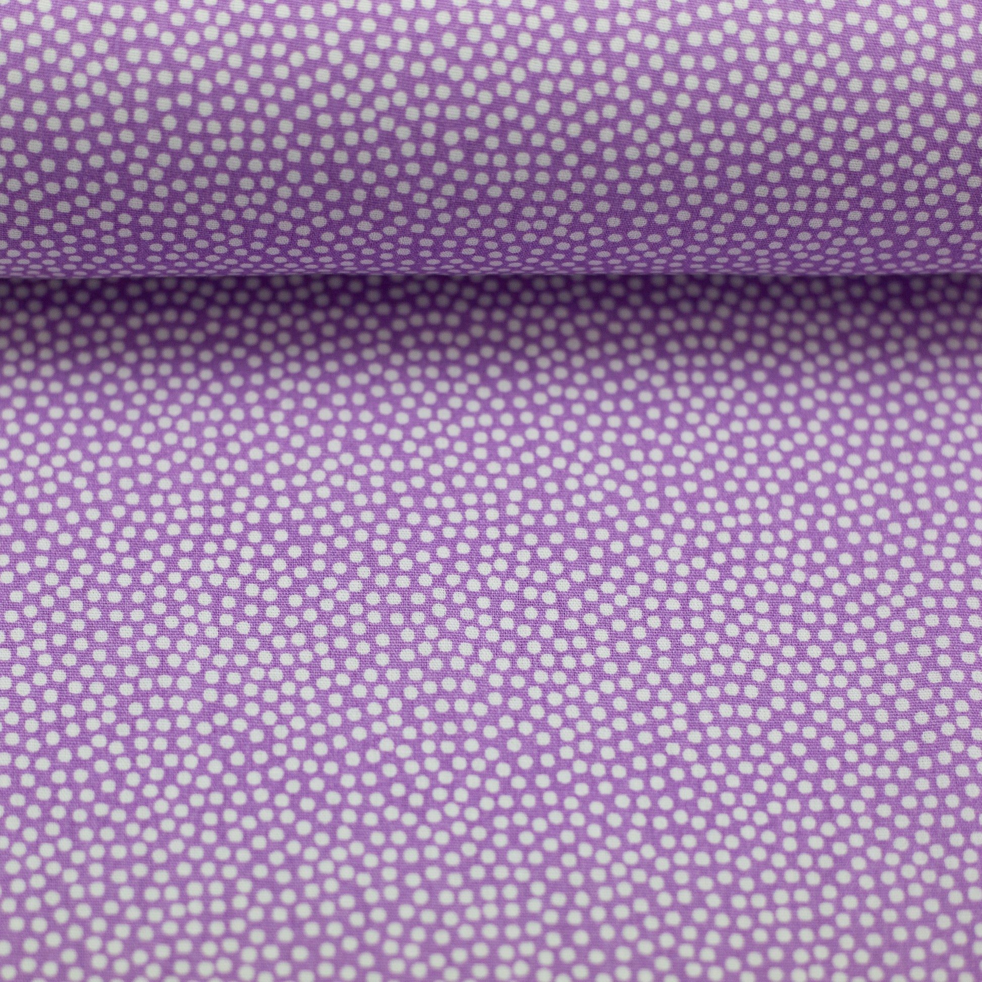 dotty weiss/lila 011644