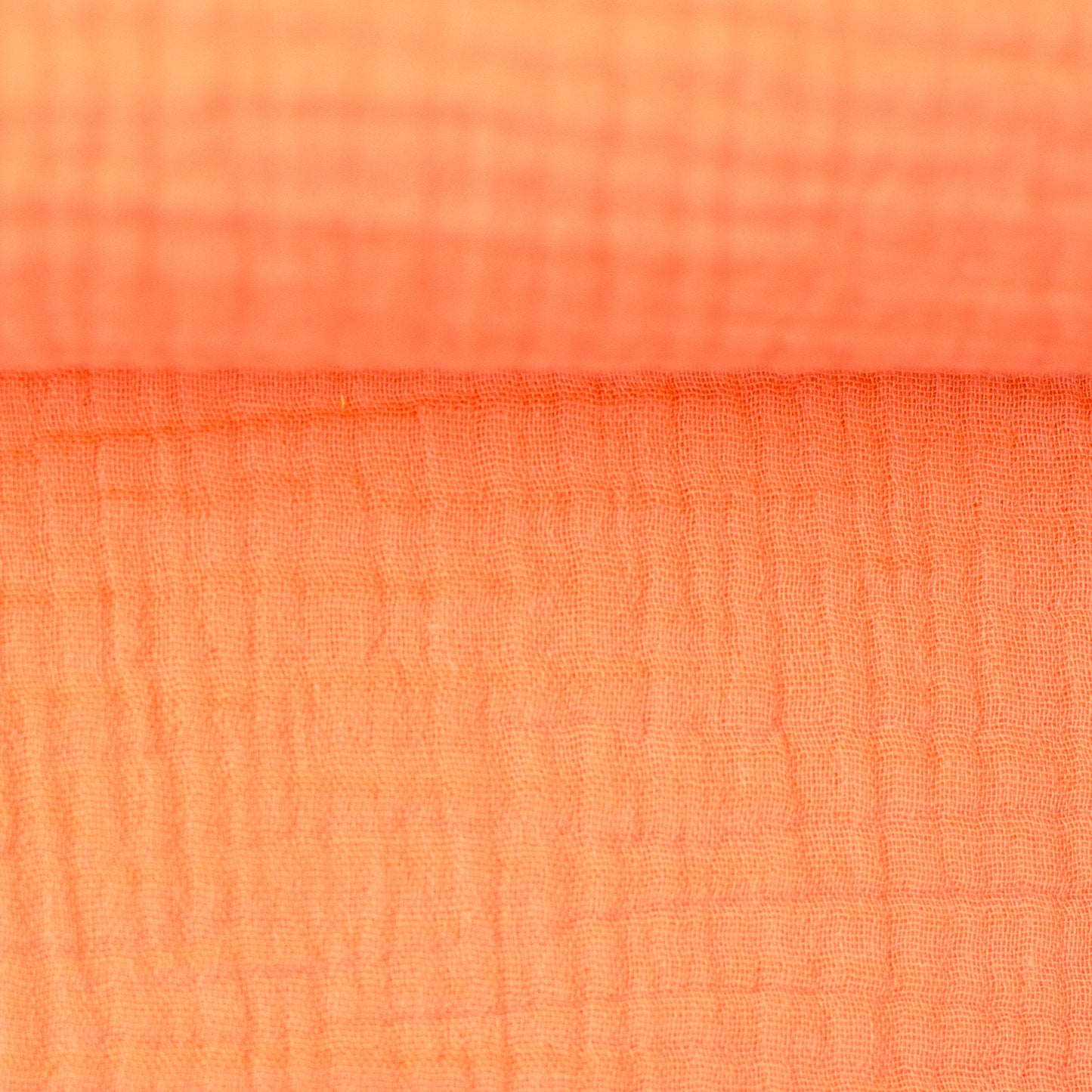 jenke apricot 000421