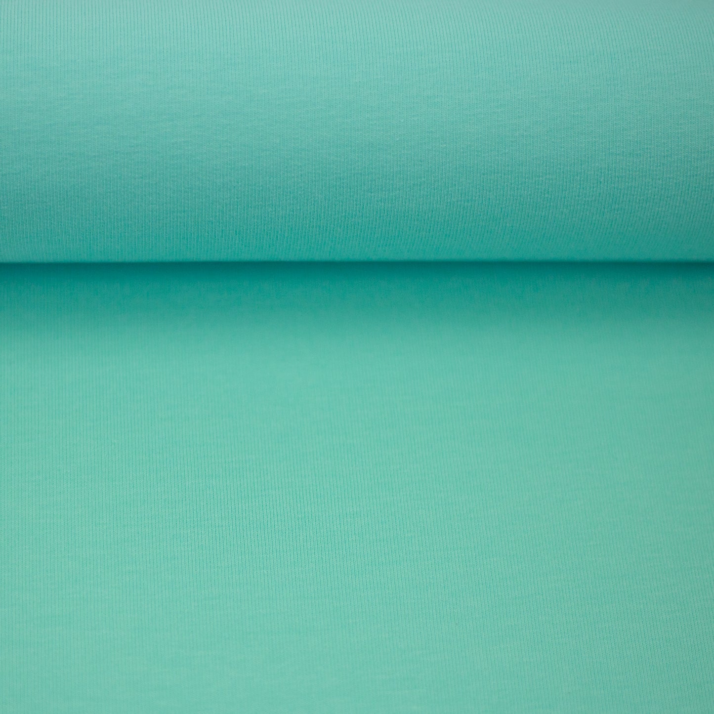 vanessa mint 000261