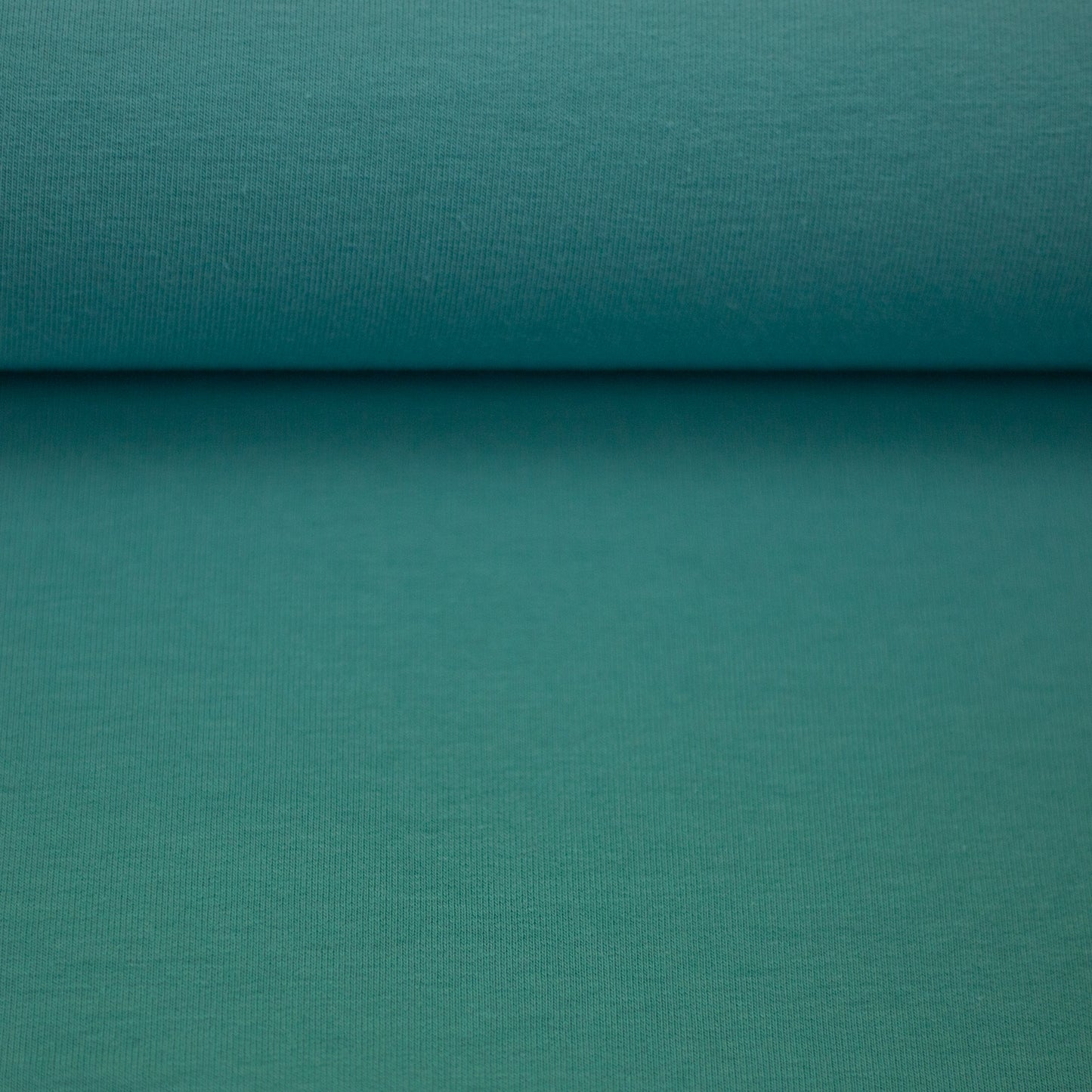 vanessa mint 000263